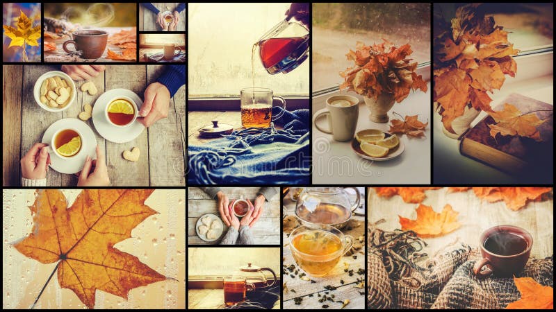 Collage autumn. Selective focus. stock photos