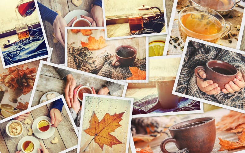 Collage autumn. Selective focus. royalty free stock images