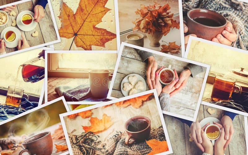 Collage autumn. Selective focus. royalty free stock photos