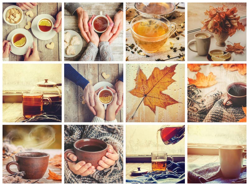Collage autumn. Selective focus. stock images