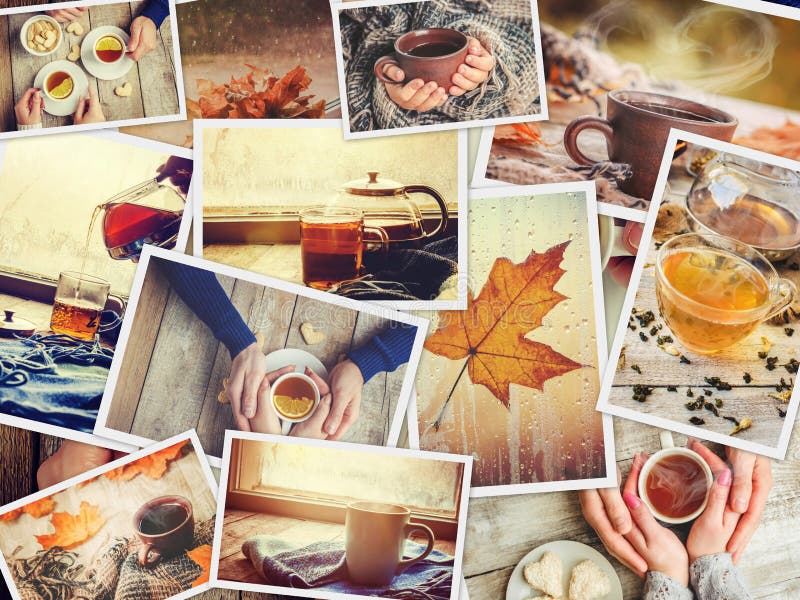 Collage autumn. Selective focus. royalty free stock image