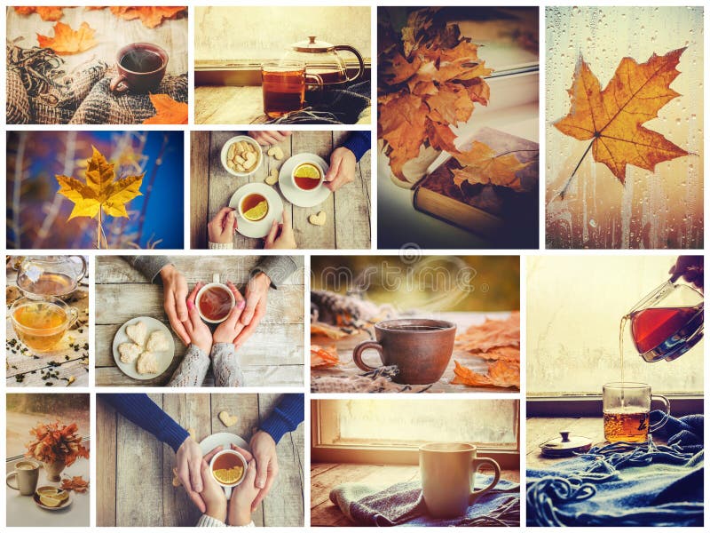 Collage autumn. Selective focus. royalty free stock images