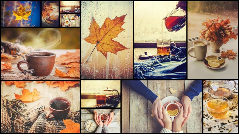 Collage autumn. Selective focus. stock photo