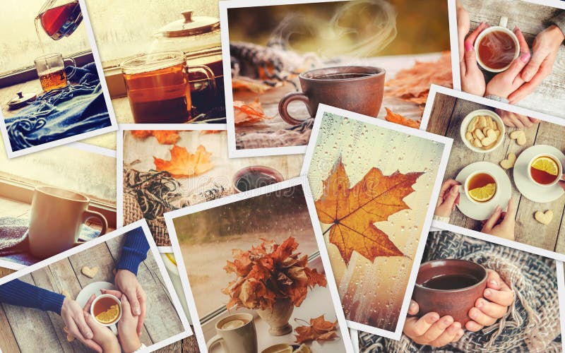 Collage autumn. Selective focus. stock photos
