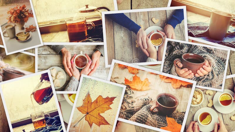 Collage autumn. Selective focus. royalty free stock images