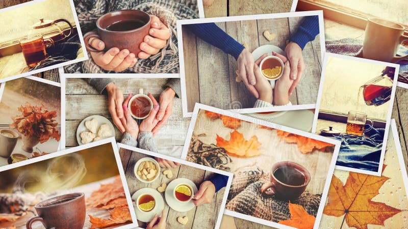 Collage autumn. Selective focus. stock photos