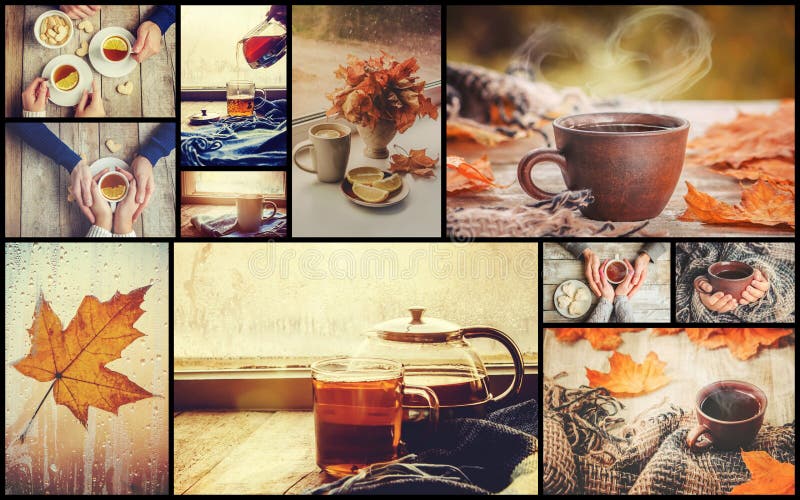 Collage autumn. Selective focus. royalty free stock photography