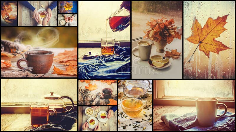 Collage autumn. Selective focus. stock image