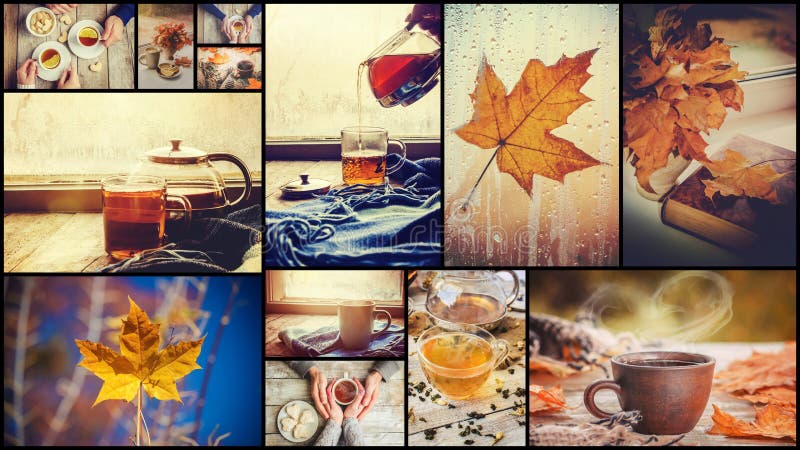 Collage autumn. Selective focus. royalty free stock photos