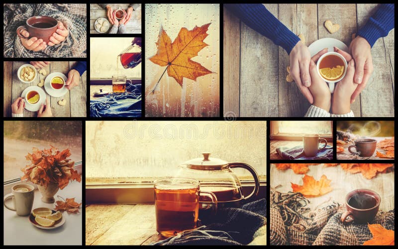 Collage autumn. Selective focus. royalty free stock photo
