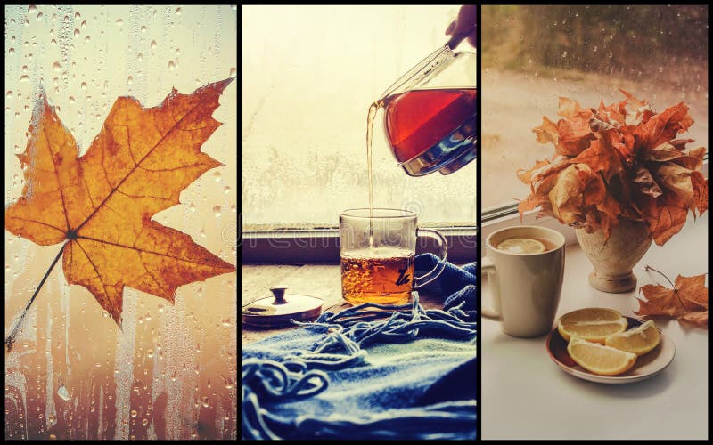 Collage autumn. Selective focus. stock photos