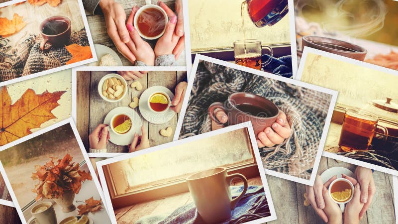 Collage autumn. Selective focus. royalty free stock photography