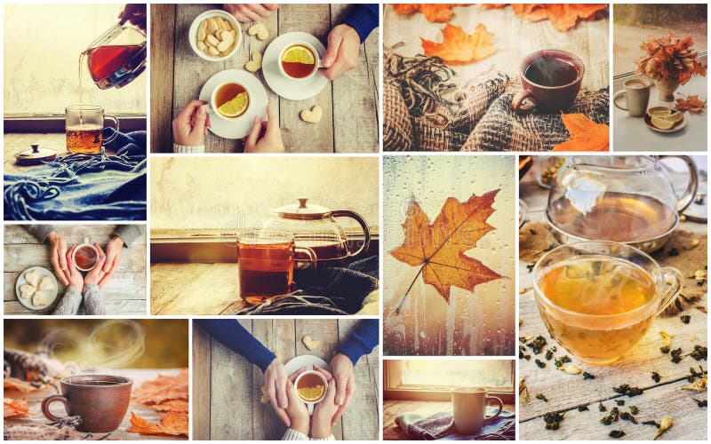 Collage autumn. Selective focus. stock image