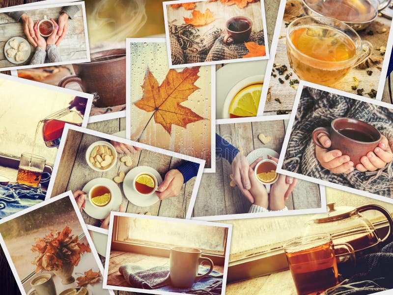 Collage autumn. Selective focus. stock images
