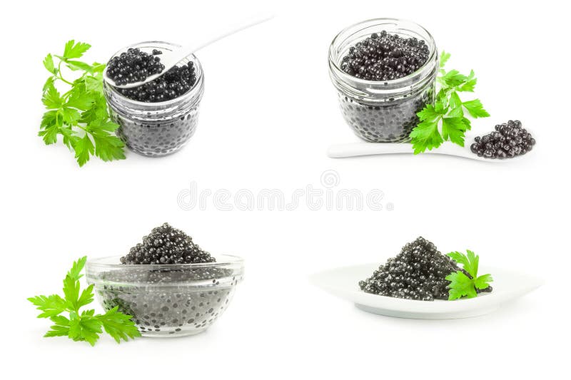 Collage of black fish eggs stock photo. Image of expensive 237578348
