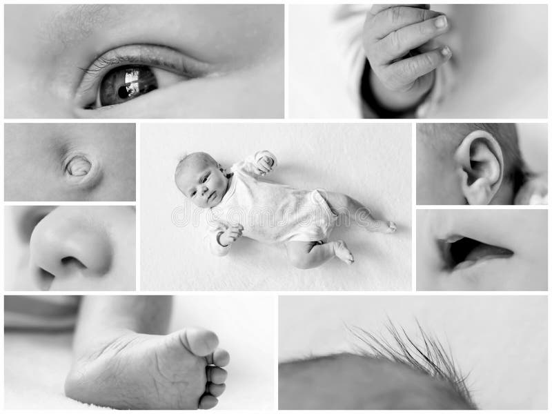 1 5 Cute Baby Collage Photos Free Royalty Free Stock Photos From Dreamstime