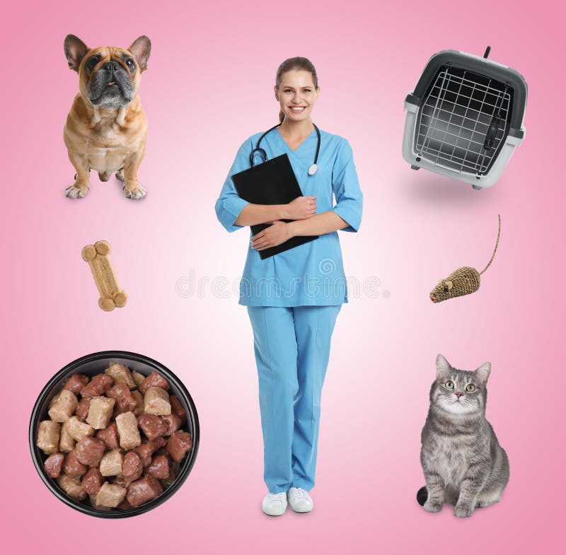 Collage con fotos de veterinarios doc mascotas alimentos y accesorios en color rosa fotos de archivo