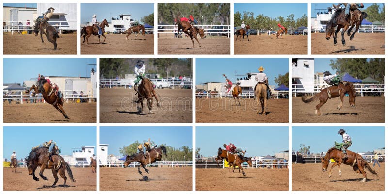 Collage Of Cowboy Riding Bucking Bronc At Outback Rodeo