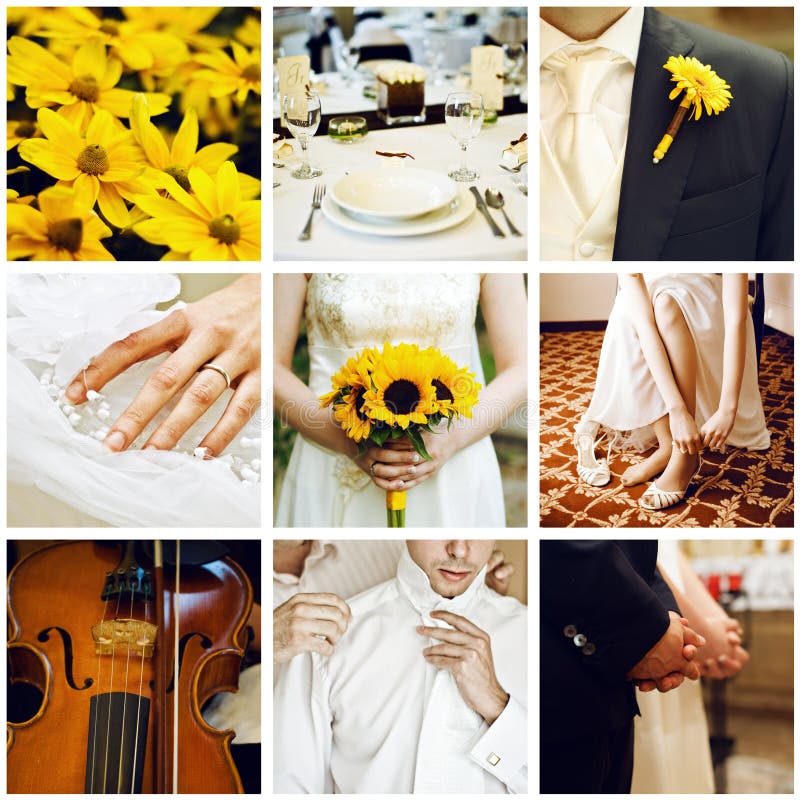 Collage de la boda imagen de archivo libre de regalías Collage de la boda imagen de archivo libre de regalías