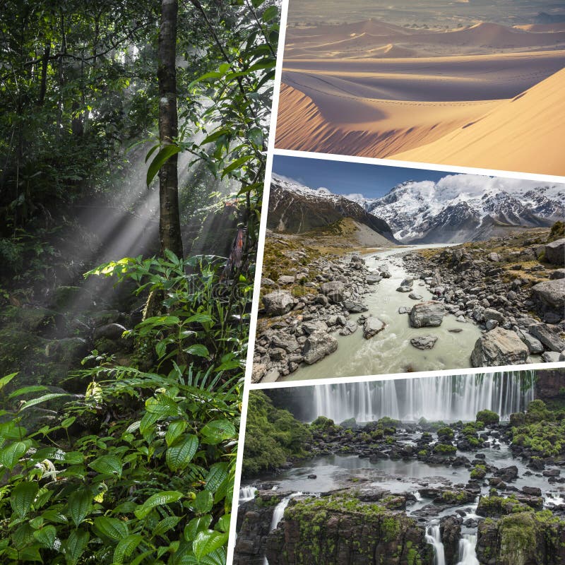 Lista 95+ Foto Lugar Más Lluvioso De Estados Unidos Lleno