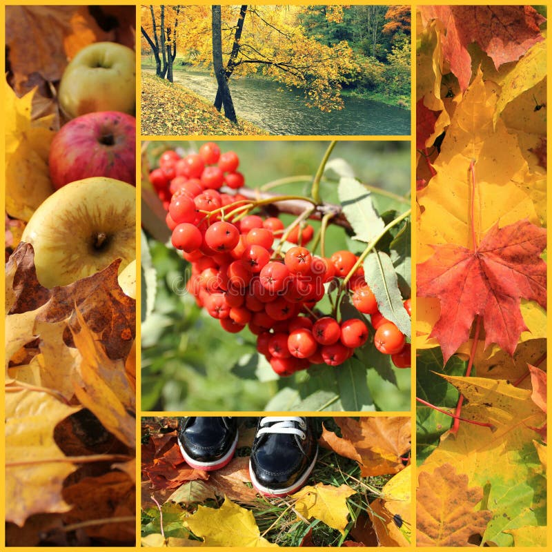 Collage del otoño imagen de archivo Collage del otoño imagen de archivo