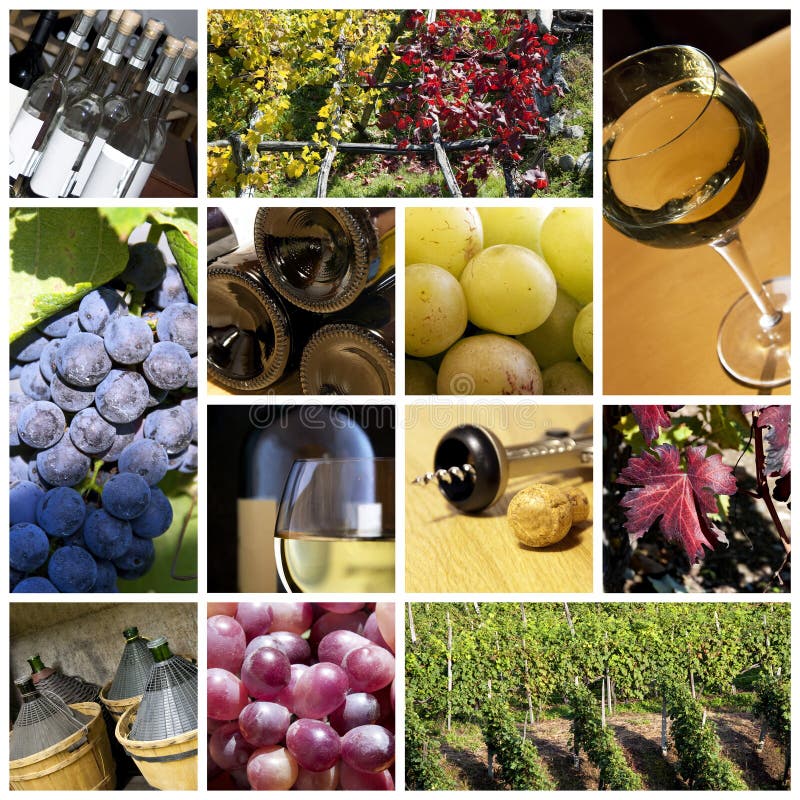Collage del vino fotografia stock Collage del vino fotografia stock