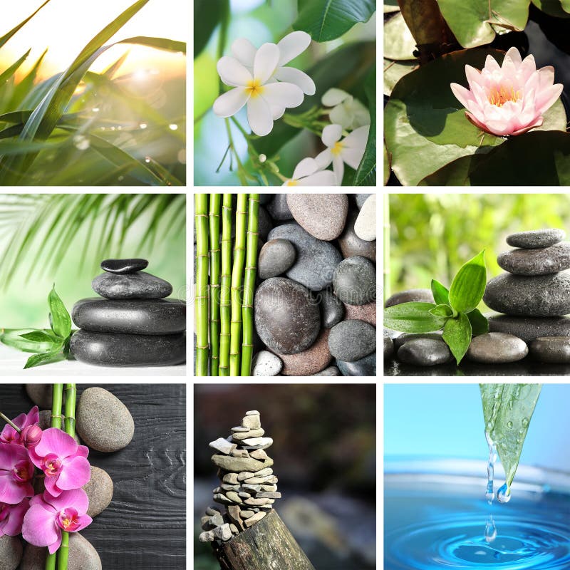 Collage of different beautiful pictures. royalty free stock photos