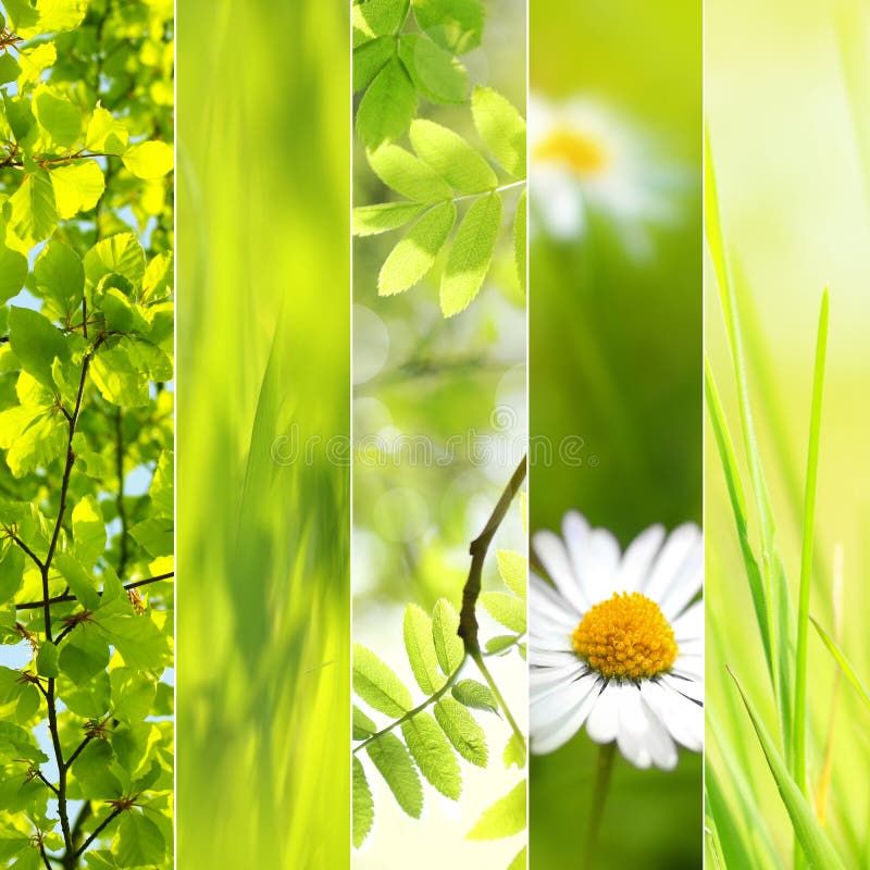 Collage estacional de la primavera foto de archivo Collage estacional de la primavera foto de archivo