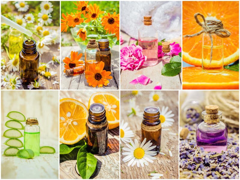 Collage of Herbs and Essential Oil. Stock Image Image of extract