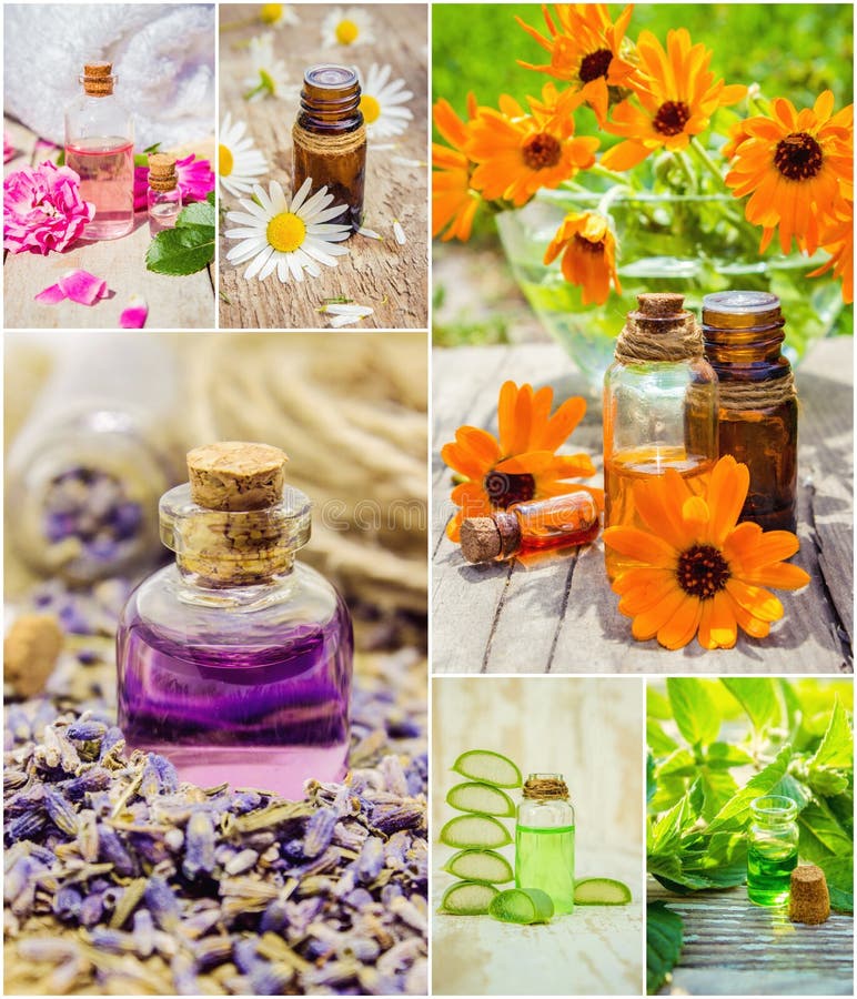 Collage Of Herbs And Essential Oil. Stock Photo Image of lavender
