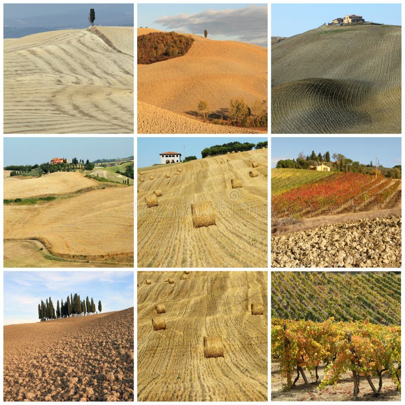 Collage with scenic tuscan country landscape, Italy, Europe. Collage with scenic tuscan country landscape, Italy, Europe