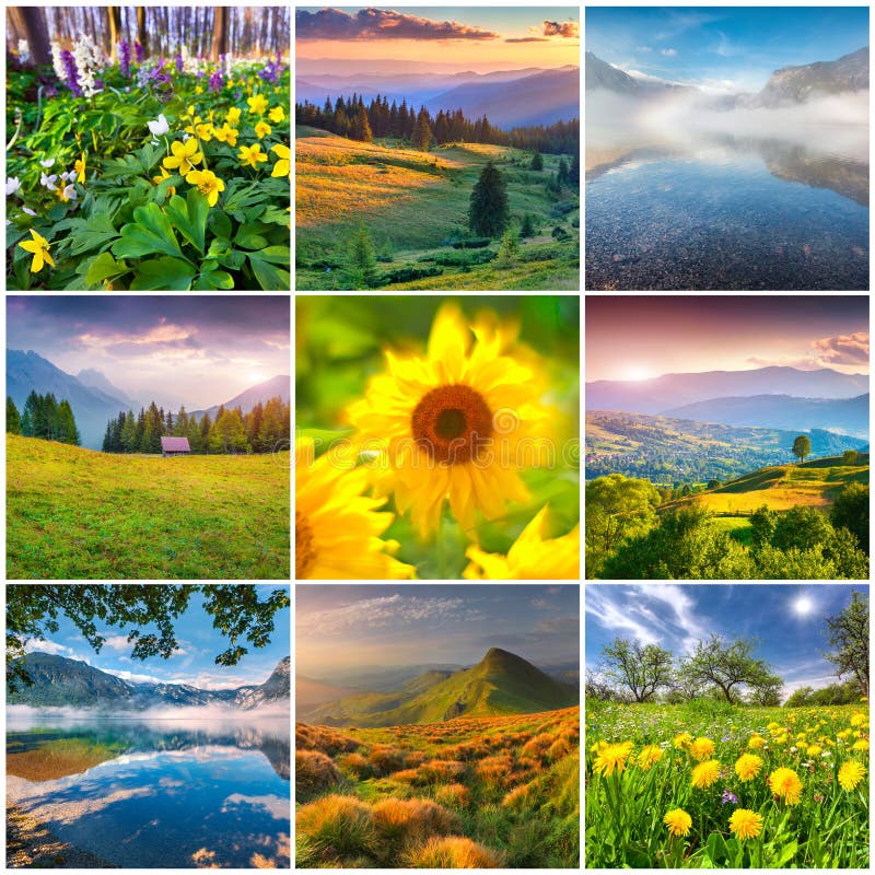 Collage mit 9 quadratischen Sommerlandschaften