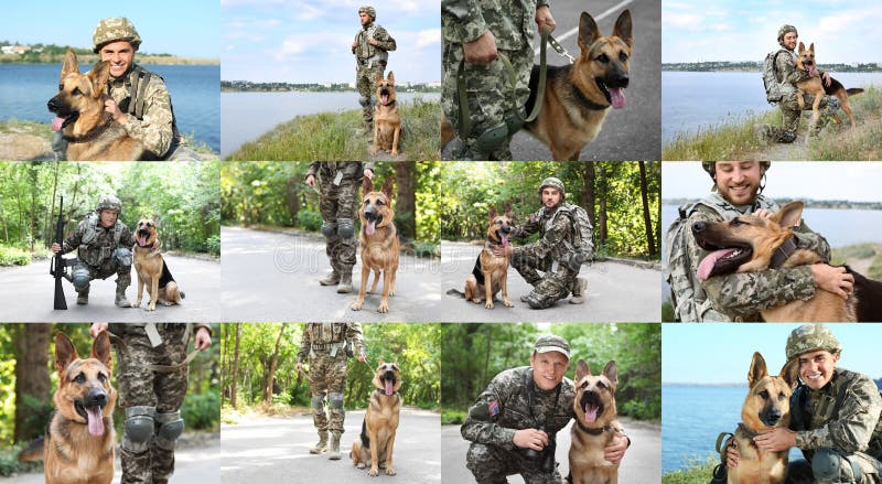 Collage with photos of people with service dogs, banner design royalty free stock photos