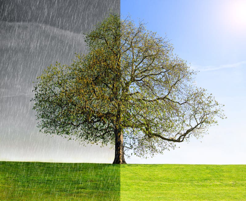 Collage rain vs. sun stock image. Image of liquid, collage 24545051