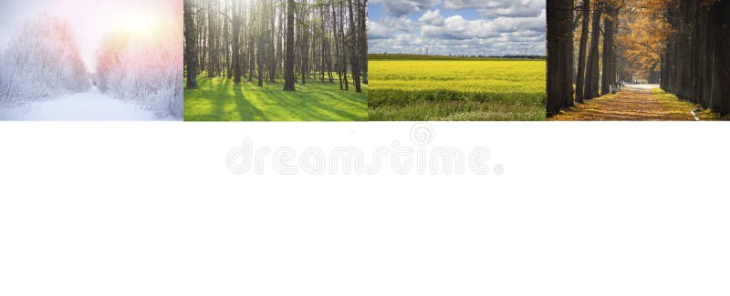 Collage Seasons All Season Seasons One Stock Photo 1571171767