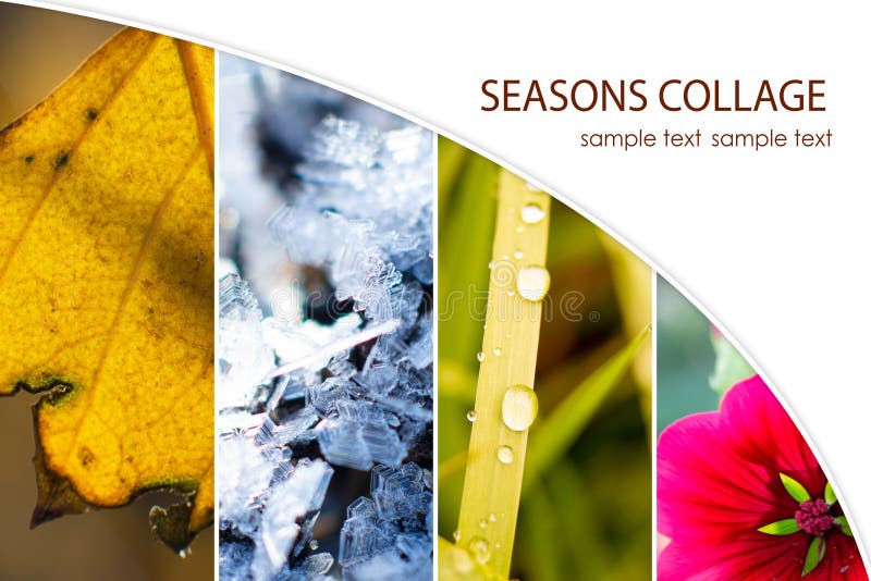 Collage showing 4 seasons. Collage with grass, flower, icicles, birch leaf stock photography