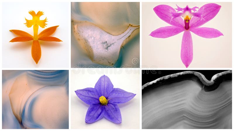 Collage Of Agate Hard Agate And Soft Flowers stock photos