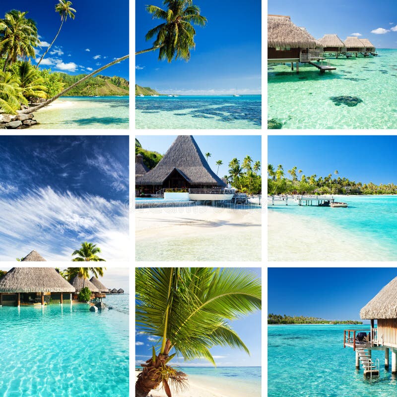 Collage van tropische beelden van moorea en Tahiti stock afbeeldingen Collage van tropische beelden van moorea en Tahiti stock afbeeldingen