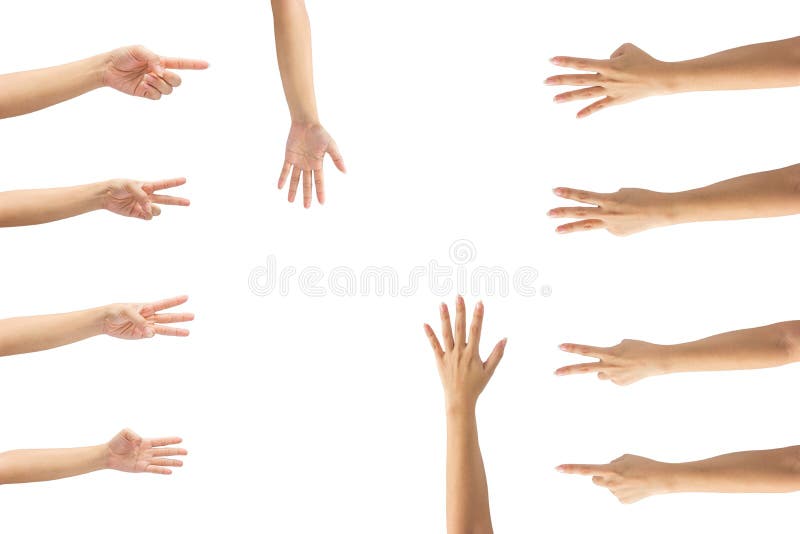 Collage von Frauenhänden auf weißen Hintergründen stockbild Collage von Frauenhänden auf weißen Hintergründen stockbild