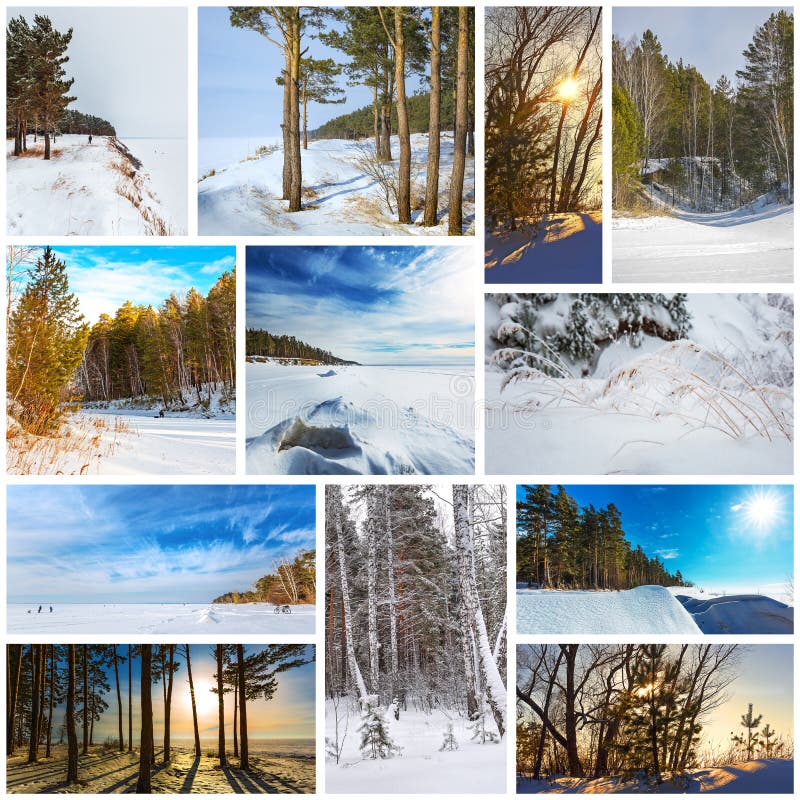 Collage Seasons-winter. the Nature of Western Siberia Stock Image ...