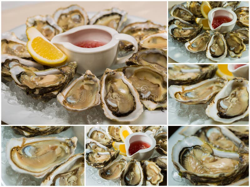 Collageof platter of fresh organic raw oysters on ice royalty free stock photos