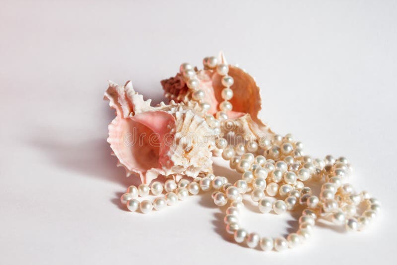Collana e conchiglie della perla fotografia stock libera da diritti Collana e conchiglie della perla fotografia stock libera da diritti