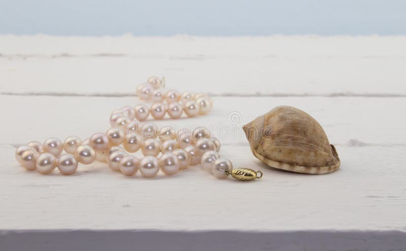 Photo of pink pearl necklace on white wood deck background with small shell. Photo of pink pearl necklace on white wood deck background with small shell