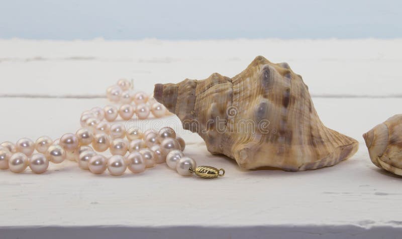 Photo of pink pearl necklace on white wood plank background with shell. Photo of pink pearl necklace on white wood plank background with shell