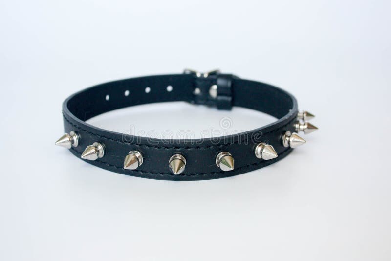 collar with spines. black with spines