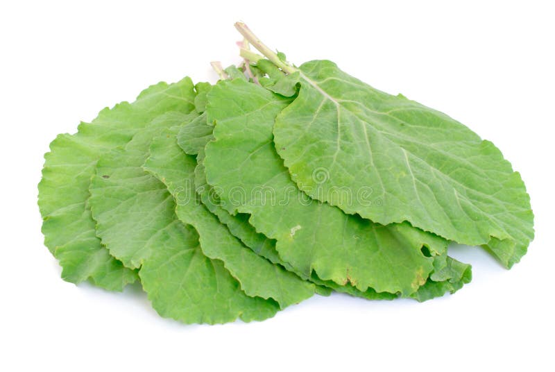 Collard Greens Leaves and Mint on Rustic Wood. Organic Food. Stock Photo Image of composition