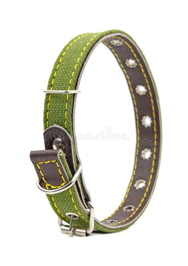 Newtensina Collare Del Cane Di Odo E Cappello Degli Insiei Cuccioli