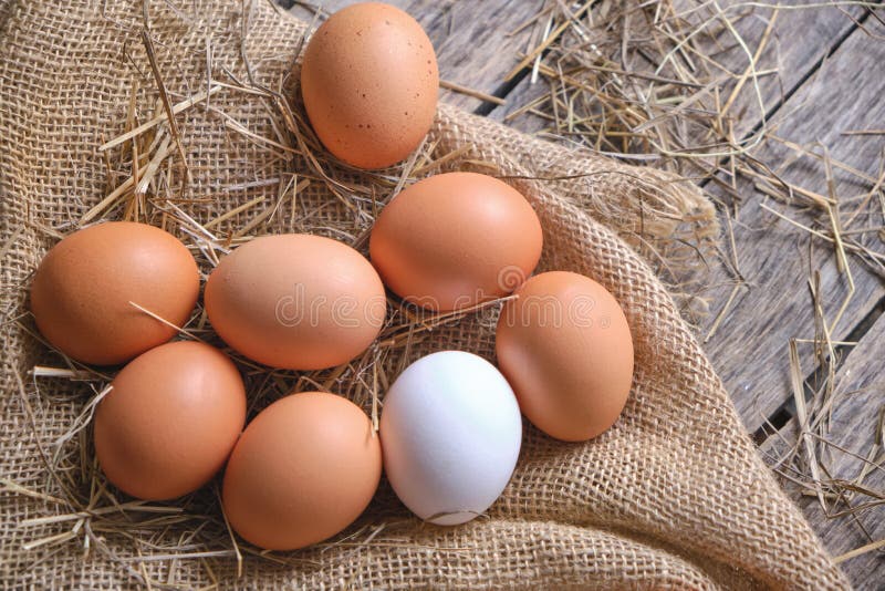 Collected Chicken Eggs, Stacked on Burlap in the Chicken Coop Stock