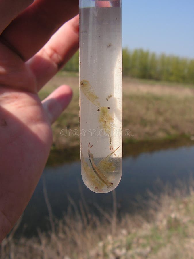 Collecting field samples