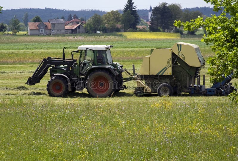 Collecting hay